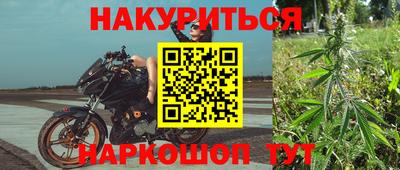 стафф Ставрополь